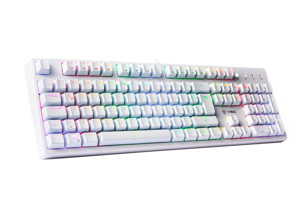 Blanco / Regular Azul